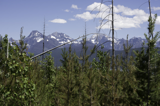 Filename=DSC_9126.jpg
Filesize=18058KiB
Dimensions=7360x4912
Date added=Sep 21, 2019 DSC_9126.jpg