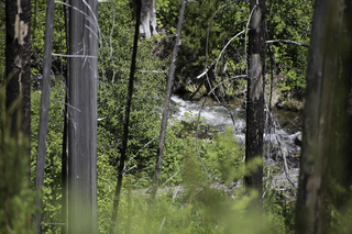 Filename=DSC_9127.jpg
Filesize=21059KiB
Dimensions=7360x4912
Date added=Sep 21, 2019 DSC_9127.jpg