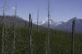 Filename=DSC_9128.jpg
Filesize=22770KiB
Dimensions=7360x4912
Date added=Sep 21, 2019 DSC_9128.jpg