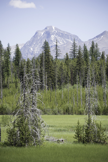 Filename=DSC_9132.jpg
Filesize=23559KiB
Dimensions=4912x7360
Date added=Sep 21, 2019 DSC_9132.jpg