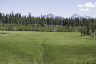 Filename=DSC_9133.jpg
Filesize=21197KiB
Dimensions=7360x4912
Date added=Sep 21, 2019 DSC_9133.jpg