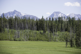 Filename=DSC_9134.jpg
Filesize=22671KiB
Dimensions=7360x4912
Date added=Sep 21, 2019 DSC_9134.jpg