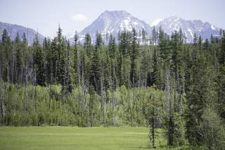 Filename=DSC_9135.jpg
Filesize=22556KiB
Dimensions=7360x4912
Date added=Sep 21, 2019 DSC_9135.jpg