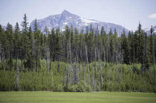 Filename=DSC_9136.jpg
Filesize=26217KiB
Dimensions=7360x4912
Date added=Sep 21, 2019 DSC_9136.jpg