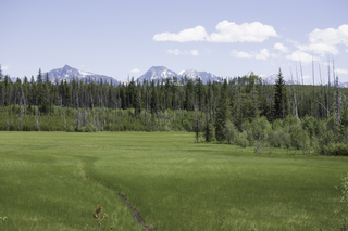 Filename=DSC_9138.jpg
Filesize=19996KiB
Dimensions=7360x4912
Date added=Sep 21, 2019 DSC_9138.jpg