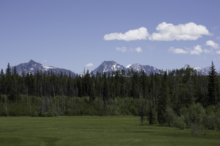 Filename=DSC_9140.jpg
Filesize=18027KiB
Dimensions=7360x4912
Date added=Sep 21, 2019 DSC_9140.jpg