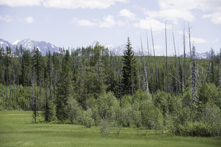 Filename=DSC_9141.jpg
Filesize=21964KiB
Dimensions=7360x4912
Date added=Sep 21, 2019 DSC_9141.jpg