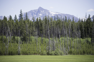 Filename=DSC_9142.jpg
Filesize=24702KiB
Dimensions=7360x4912
Date added=Sep 21, 2019 DSC_9142.jpg