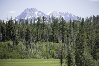 Filename=DSC_9143.jpg
Filesize=24051KiB
Dimensions=7360x4912
Date added=Sep 21, 2019 DSC_9143.jpg