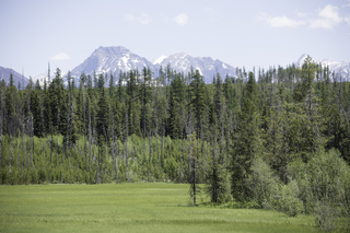 Filename=DSC_9144.jpg
Filesize=24517KiB
Dimensions=7360x4912
Date added=Sep 21, 2019 DSC_9144.jpg