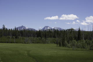 Filename=DSC_9145.jpg
Filesize=18125KiB
Dimensions=7360x4912
Date added=Sep 21, 2019 DSC_9145.jpg