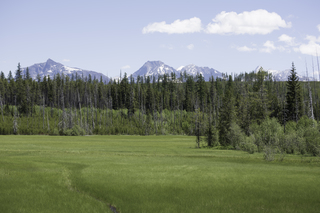 Filename=DSC_9146.jpg
Filesize=18922KiB
Dimensions=7360x4912
Date added=Sep 21, 2019 DSC_9146.jpg