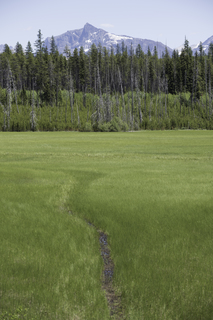 Filename=DSC_9147.jpg
Filesize=21742KiB
Dimensions=4912x7360
Date added=Sep 21, 2019 DSC_9147.jpg