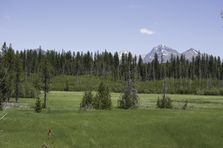 Filename=DSC_9150.jpg
Filesize=22272KiB
Dimensions=7360x4912
Date added=Sep 21, 2019 DSC_9150.jpg