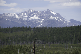 Filename=DSC_9151.jpg
Filesize=19771KiB
Dimensions=7360x4912
Date added=Sep 21, 2019 DSC_9151.jpg