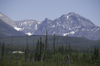 Filename=DSC_9154.jpg
Filesize=18102KiB
Dimensions=7360x4912
Date added=Sep 21, 2019 DSC_9154.jpg