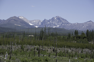 Filename=DSC_9155.jpg
Filesize=20697KiB
Dimensions=7360x4912
Date added=Sep 21, 2019 DSC_9155.jpg