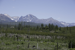 Filename=DSC_9156.jpg
Filesize=21578KiB
Dimensions=7360x4912
Date added=Sep 21, 2019 DSC_9156.jpg