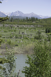 Filename=DSC_9157.jpg
Filesize=24297KiB
Dimensions=4912x7360
Date added=Sep 21, 2019 DSC_9157.jpg