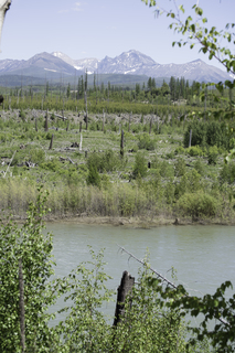 Filename=DSC_9158.jpg
Filesize=25819KiB
Dimensions=4912x7360
Date added=Sep 21, 2019 DSC_9158.jpg