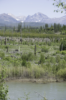 Filename=DSC_9159.jpg
Filesize=23839KiB
Dimensions=4912x7360
Date added=Sep 21, 2019 DSC_9159.jpg