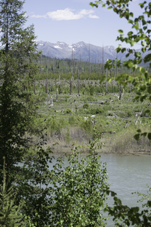 Filename=DSC_9161.jpg
Filesize=22291KiB
Dimensions=4912x7360
Date added=Sep 21, 2019 DSC_9161.jpg