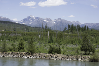 Filename=DSC_9163.jpg
Filesize=22275KiB
Dimensions=7360x4912
Date added=Sep 21, 2019 DSC_9163.jpg