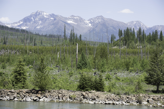 Filename=DSC_9164.jpg
Filesize=24734KiB
Dimensions=7360x4912
Date added=Sep 21, 2019 DSC_9164.jpg