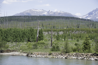 Filename=DSC_9166.jpg
Filesize=23661KiB
Dimensions=7360x4912
Date added=Sep 21, 2019 DSC_9166.jpg