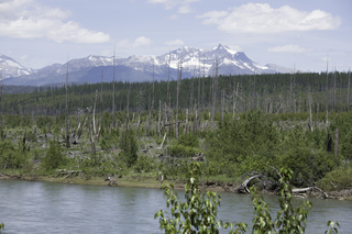 Filename=DSC_9167.jpg
Filesize=22765KiB
Dimensions=7360x4912
Date added=Sep 21, 2019 DSC_9167.jpg