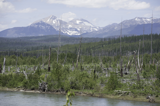 Filename=DSC_9168.jpg
Filesize=22348KiB
Dimensions=7360x4912
Date added=Sep 21, 2019 DSC_9168.jpg