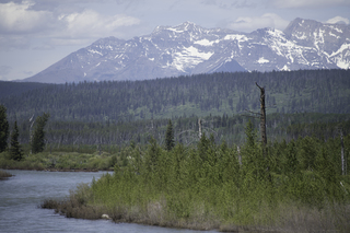 Filename=DSC_9174.jpg
Filesize=19397KiB
Dimensions=7360x4912
Date added=Sep 21, 2019 DSC_9174.jpg