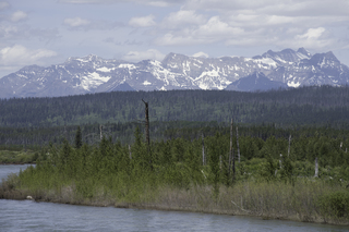 Filename=DSC_9175.jpg
Filesize=19773KiB
Dimensions=7360x4912
Date added=Sep 21, 2019 DSC_9175.jpg