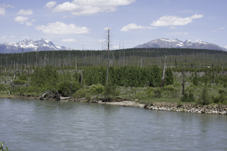 Filename=DSC_9179.jpg
Filesize=21888KiB
Dimensions=7360x4912
Date added=Sep 21, 2019 DSC_9179.jpg