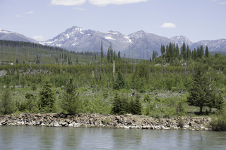 Filename=DSC_9181.jpg
Filesize=23456KiB
Dimensions=7360x4912
Date added=Sep 21, 2019 DSC_9181.jpg