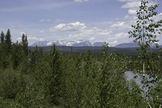 Filename=DSC_9182.jpg
Filesize=22247KiB
Dimensions=7360x4912
Date added=Sep 21, 2019 DSC_9182.jpg