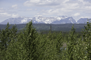 Filename=DSC_9183.jpg
Filesize=18507KiB
Dimensions=7360x4912
Date added=Sep 21, 2019 DSC_9183.jpg