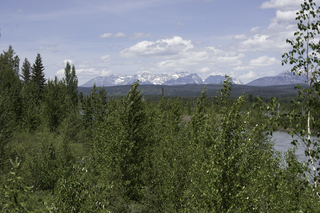 Filename=DSC_9185.jpg
Filesize=23396KiB
Dimensions=7360x4912
Date added=Sep 21, 2019 DSC_9185.jpg