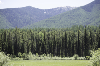 Filename=DSC_9188.jpg
Filesize=24249KiB
Dimensions=7360x4912
Date added=Sep 21, 2019 DSC_9188.jpg