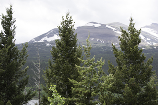 Filename=DSC_9228.jpg
Filesize=15508KiB
Dimensions=7360x4912
Date added=Sep 21, 2019 DSC_9228.jpg