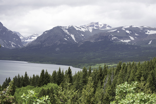 Filename=DSC_9229.jpg
Filesize=17283KiB
Dimensions=7360x4912
Date added=Sep 21, 2019 DSC_9229.jpg