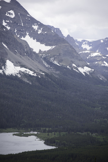 Filename=DSC_9249.jpg
Filesize=16809KiB
Dimensions=4912x7360
Date added=Sep 21, 2019 DSC_9249.jpg