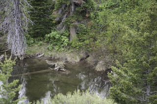 Filename=DSC_9257.jpg
Filesize=31340KiB
Dimensions=7360x4912
Date added=Sep 21, 2019 DSC_9257.jpg