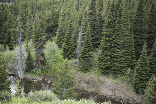 Filename=DSC_9258.jpg
Filesize=28390KiB
Dimensions=7360x4912
Date added=Sep 21, 2019 DSC_9258.jpg