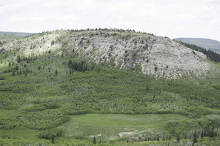 Filename=DSC_9262.jpg
Filesize=21613KiB
Dimensions=7360x4912
Date added=Sep 21, 2019 DSC_9262.jpg