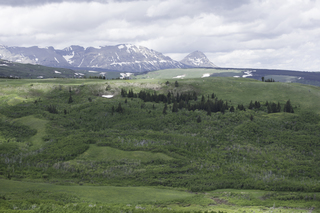 Filename=DSC_9263.jpg
Filesize=19502KiB
Dimensions=7360x4912
Date added=Sep 21, 2019 DSC_9263.jpg