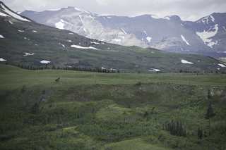 Filename=DSC_9266.jpg
Filesize=21105KiB
Dimensions=7360x4912
Date added=Sep 21, 2019 DSC_9266.jpg