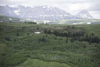 Filename=DSC_9271.jpg
Filesize=21522KiB
Dimensions=7360x4912
Date added=Sep 21, 2019 DSC_9271.jpg