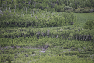 Filename=DSC_9276.jpg
Filesize=29685KiB
Dimensions=7360x4912
Date added=Sep 21, 2019 DSC_9276.jpg