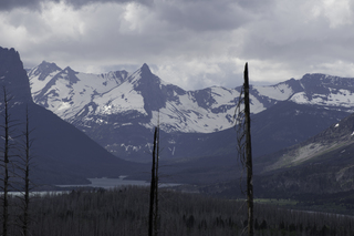 Filename=DSC_9288.jpg
Filesize=14837KiB
Dimensions=7360x4912
Date added=Sep 21, 2019 DSC_9288.jpg